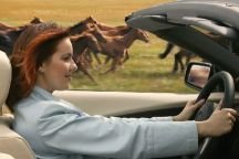 Výhodné PZP a havarijné poistenie (KASKO)