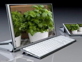 Máte rádi bylinky?