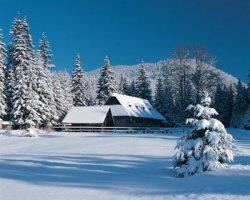 Práca na doma na privyrobenie