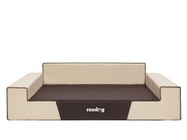 pelech pre psa Reedog Beige Glamour