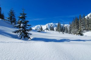 - Privyrobte si z domu cez PC -