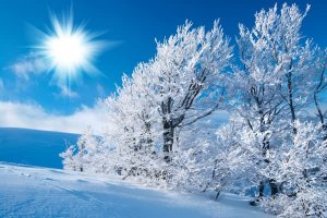 * * * Práca na doma na privyrobenie * * *