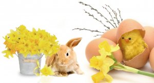 Privyrobte si z domu cez PC