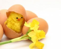 * * * Práca na doma cez počítač a internet * * *