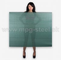 Tieniace siete na plot