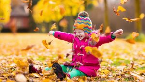 * * * Vyhľadávanie členov pre e-shopy * * *