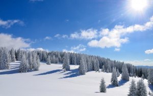 - Privyrobte si z domu na počítači -