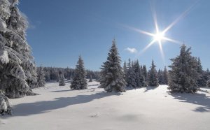 ~ ~ ~ Práca na doma na počítači ~ ~ ~